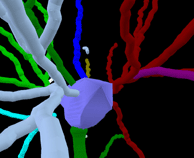 Solid Modeling Moduleで表示したモデル