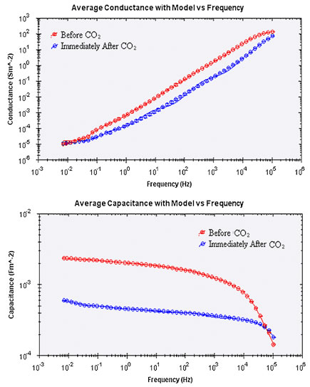 CO2 の暴露24時間後、及び48時間後のキャパシタンスとコンダクタンスのデータ