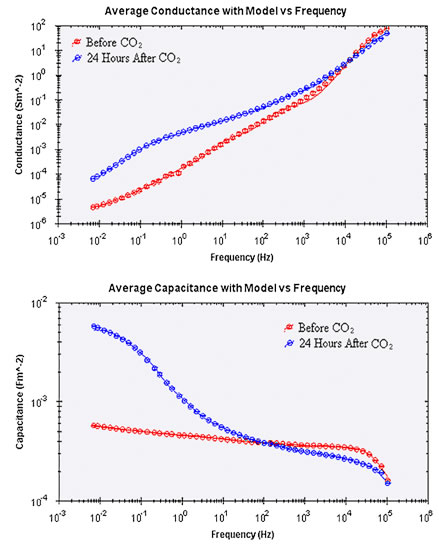 CO2 の暴露24時間後、及び48時間後のキャパシタンスとコンダクタンスのデータ2