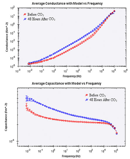 CO2 の暴露24時間後、及び48時間後のキャパシタンスとコンダクタンスのデータ3