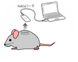 体内埋め込み式運動量計測装置 nano tag